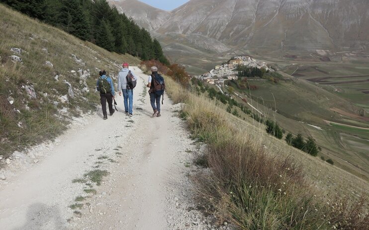 Anello di Gaiche