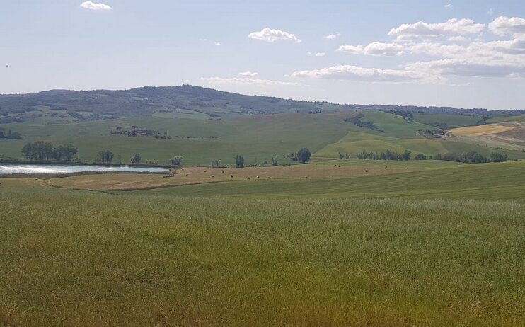 Escursione lungo la Via Francigena da San Quirico a Gallina