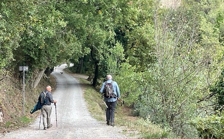 4 passi fra i Borghi del Perugino