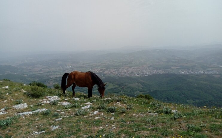 Escursione al Monte Acuto