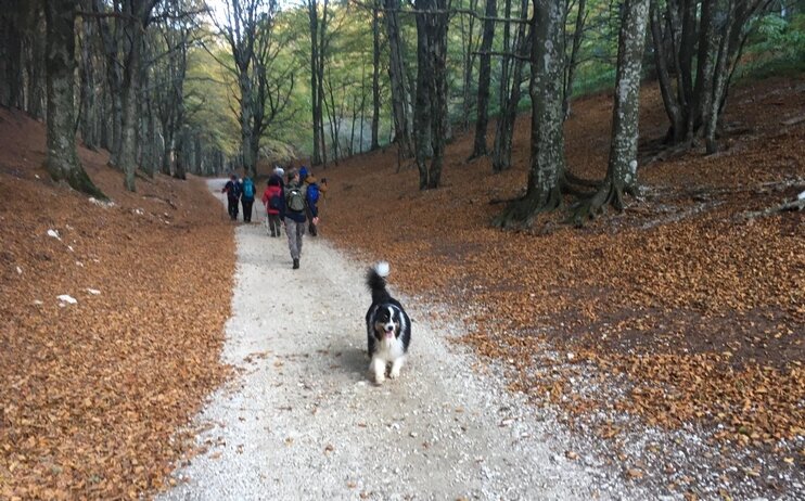 Sul Monte Cucco, dalla Madre dei Faggi alla vetta