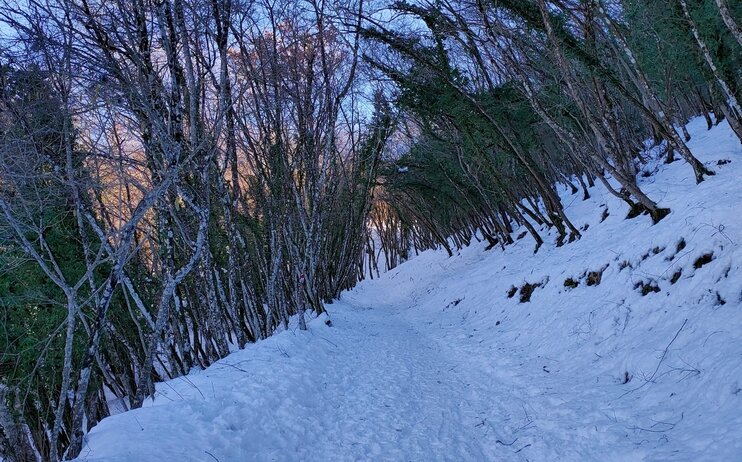 Ciaspolata sul Monte Subasio